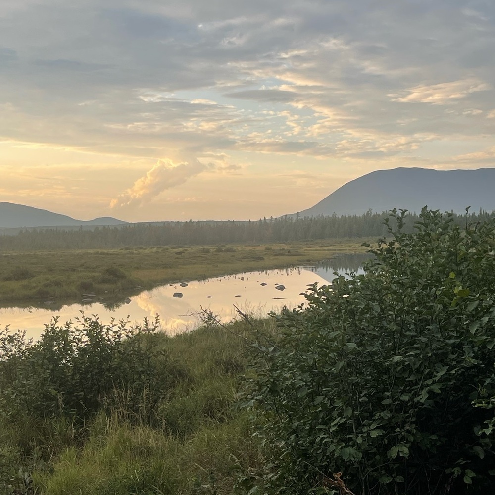 Meet your Posher, Candace